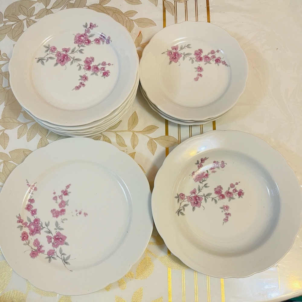 Lot Of 13 Kahla Germany GDR Porcelain Bowl Plates 7”-9.5”Pink Roses